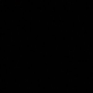 Meet your Posher, Cheyenne